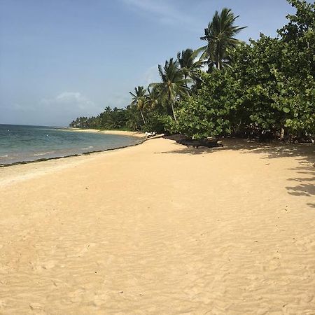 Apartment Balcones Del Atlantico Las Terrenas Zewnętrze zdjęcie